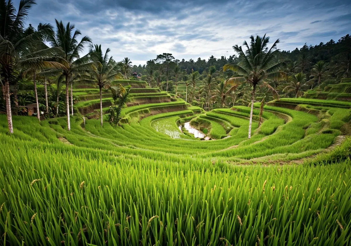 Indonezia
